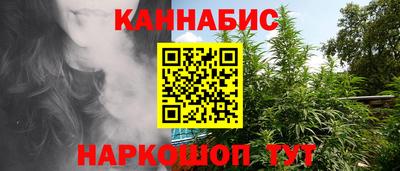 мдпв Гатчина