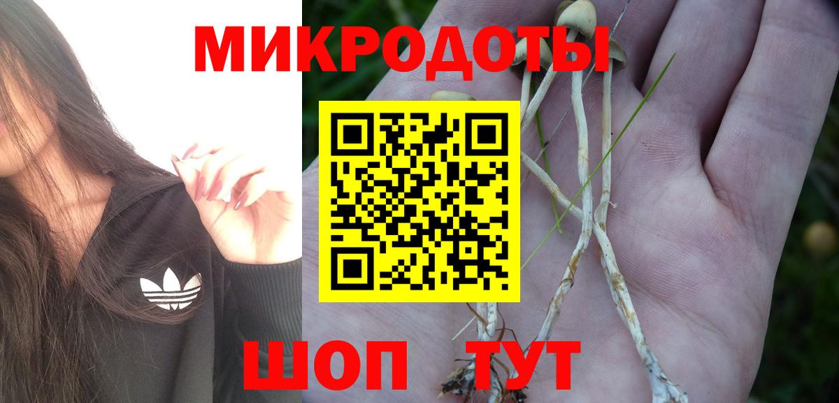 Псилоцибиновые грибы Magic Shrooms Кингисепп