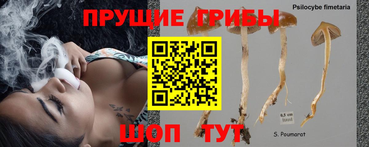 Псилоцибиновые грибы мицелий  Вход с VPN  Галлюциногенные грибы Magic Shrooms  Кингисепп 