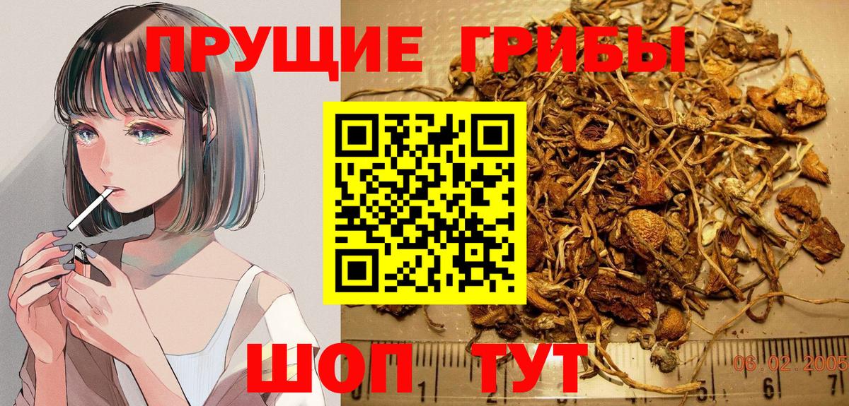 Псилоцибиновые грибы ЛСД Кингисепп
