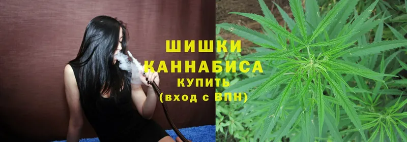 Бошки Шишки Amnesia  Кингисепп 