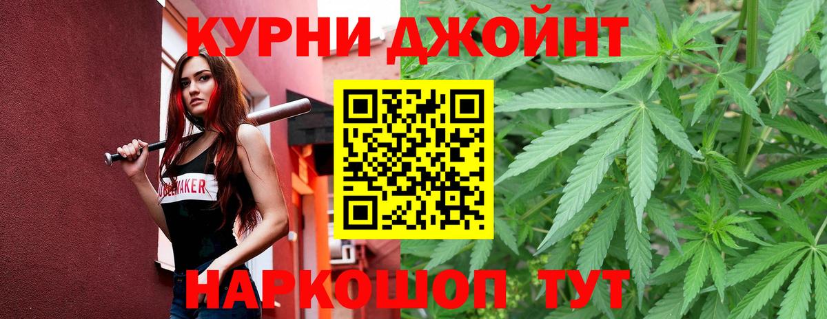 Каннабис сатива  Каннабис семена  Канабис White Widow  Кингисепп 